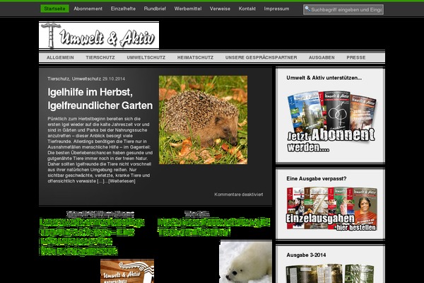 Hamasaki theme site design template sample