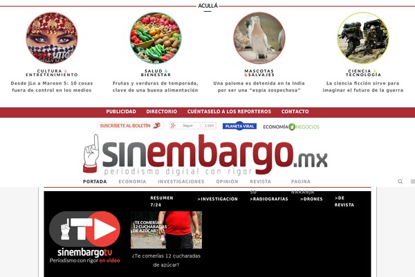 Duplex theme site design template sample