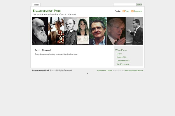Misty Look theme site design template sample