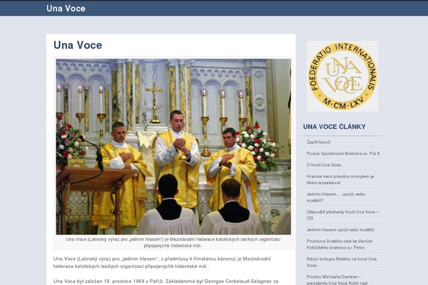 Skeptical theme site design template sample