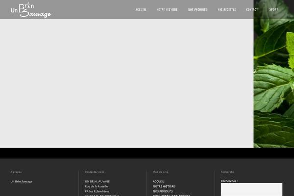 Central theme site design template sample