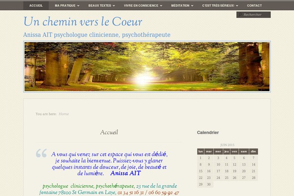 My Life theme site design template sample
