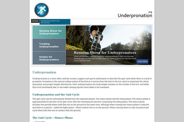 Site using Google AdSense Click-Fraud Monitoring Plugin plugin