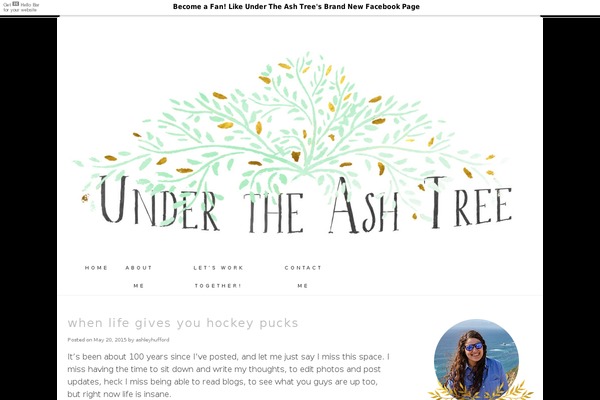 simpleandclean theme websites examples