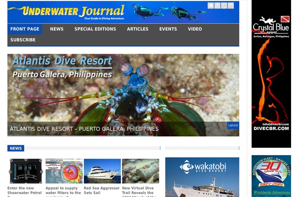 Theworld theme site design template sample