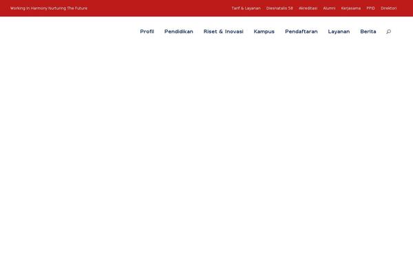 Kingster theme site design template sample