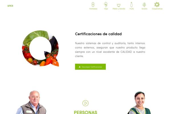 unicagroup.es site used Unica