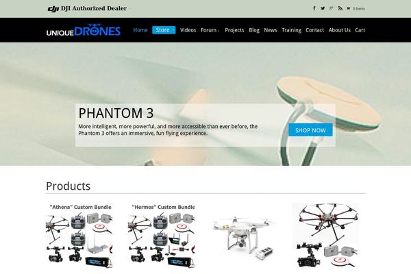 Divi-2-1-2 theme site design template sample