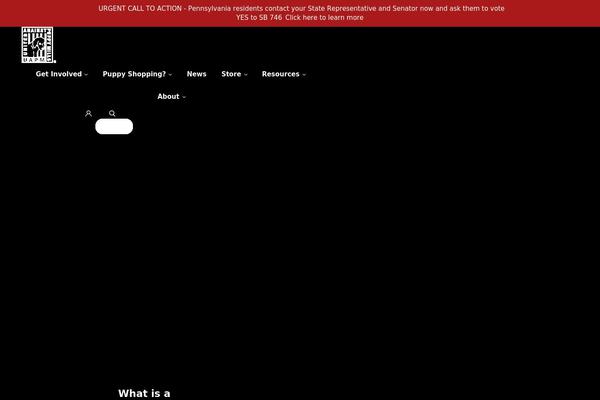 Humani theme site design template sample