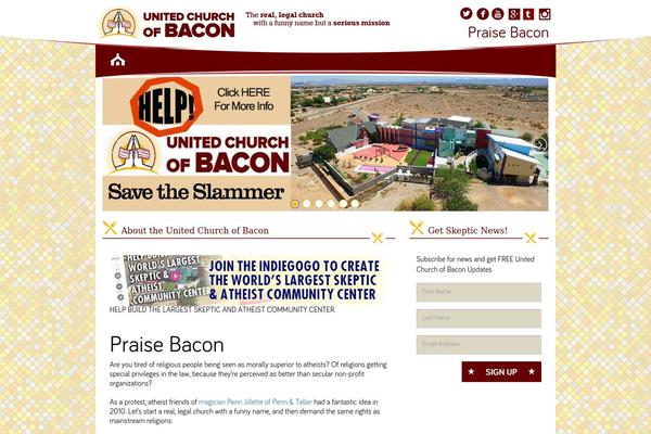 Site using MailChimp for WordPress plugin
