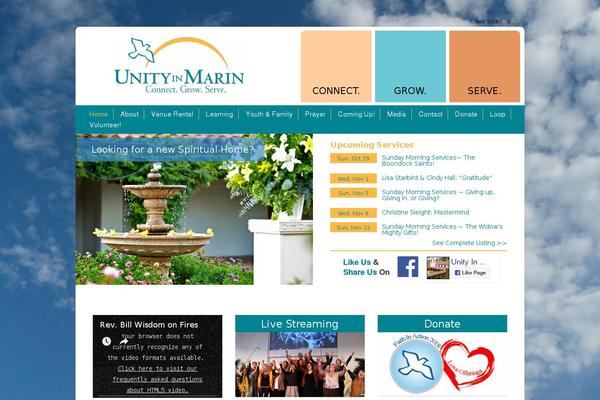 Site using Divi-tube plugin