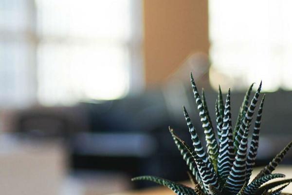 Site using Simple Share Buttons Adder plugin