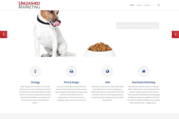 Salient theme site design template sample