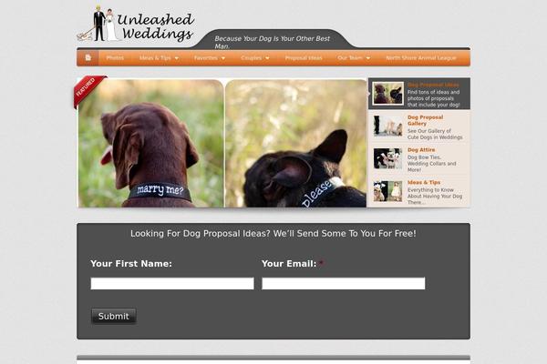Bellissima theme site design template sample