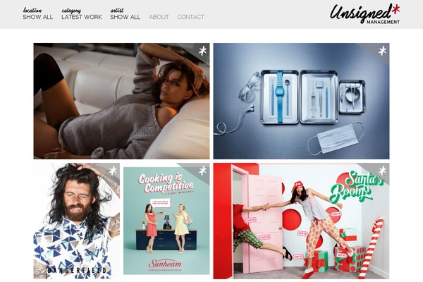 Pyramid theme site design template sample