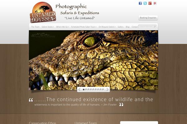 Site using Jamie Social Icons plugin