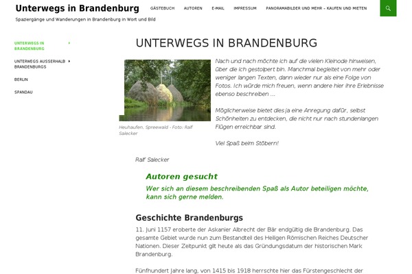 Ridizain theme site design template sample