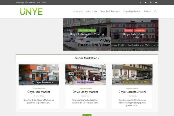 Voice theme site design template sample