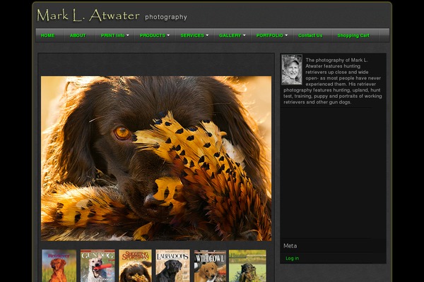 Site using Marketpress plugin