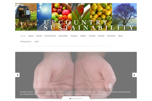 Evolution theme site design template sample