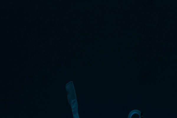 Fresh-news theme site design template sample