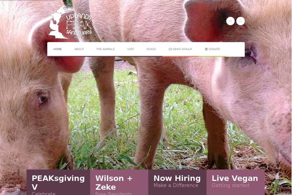 startuppro-child theme websites examples