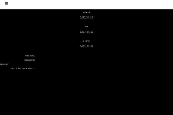 Site using SVG Support plugin
