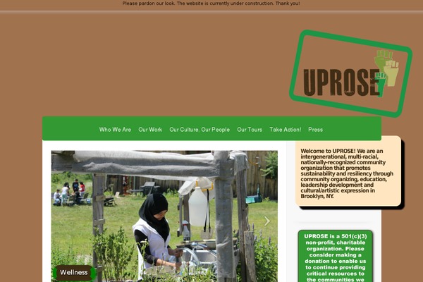 ElegantEstate theme site design template sample