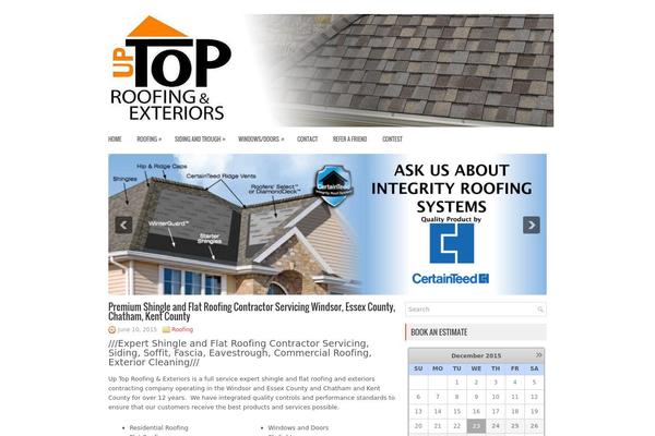 Netbiz theme site design template sample