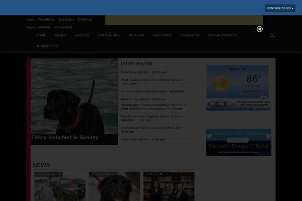 Newspaper Child theme site design template sample