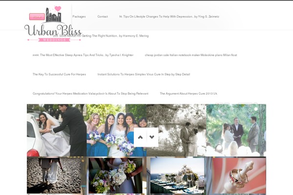 Shotzz theme site design template sample