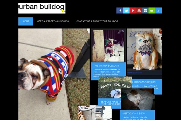 Surfarama theme site design template sample