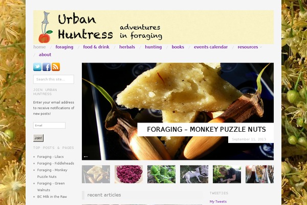 Oxygen theme site design template sample