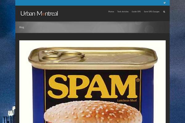 Avada theme site design template sample