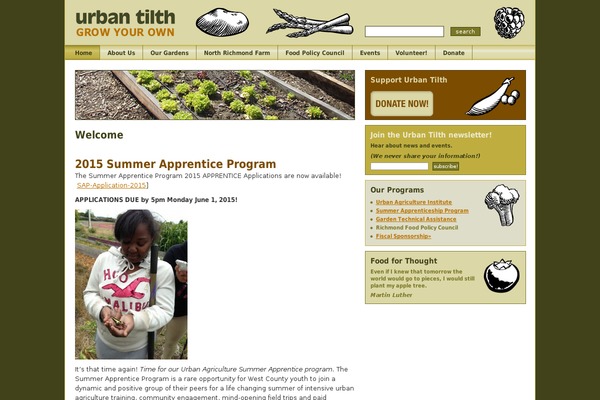 Urban theme site design template sample