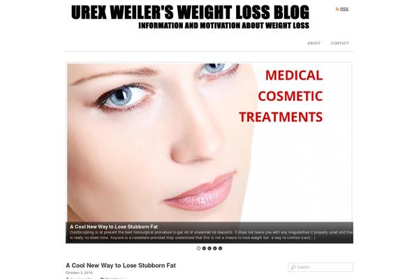 Blogfolio theme site design template sample