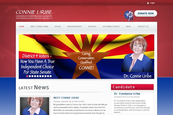 Candidate theme site design template sample