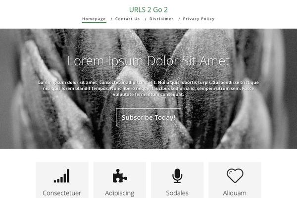 Minus theme site design template sample