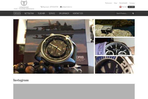 Site using Elfsight-instashow plugin