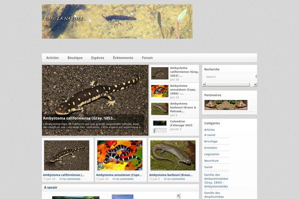 silverOrchid theme site design template sample