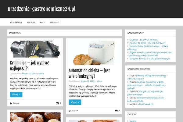 Momentous Lite theme site design template sample