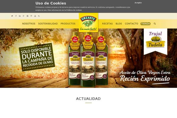 Site using Google Analytics y la ley de Cookies plugin