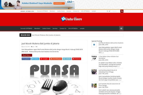 Polished theme site design template sample
