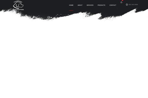 Site using Tp-woocommerce-product-gallery plugin