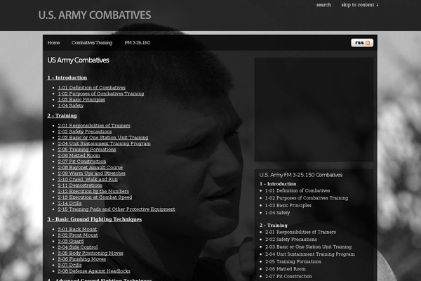 Pixel theme site design template sample