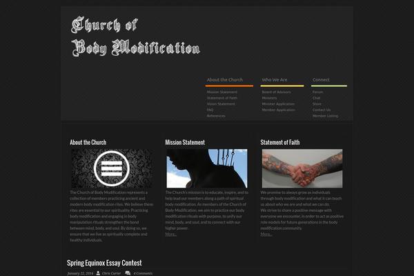 Site using All in One SEO Pack plugin
