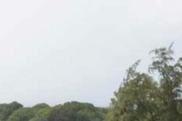 Twenty Seventeen theme site design template sample