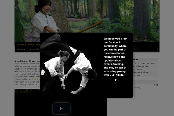 Site using Embed Facebook plugin