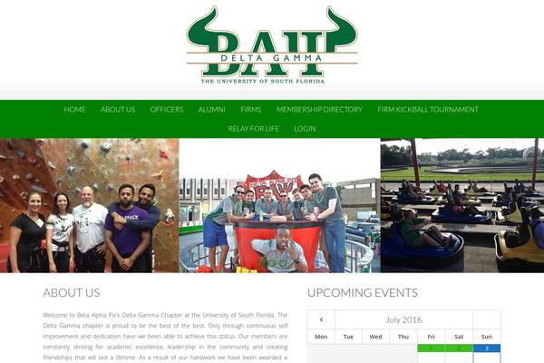 AccessPress Lite theme site design template sample