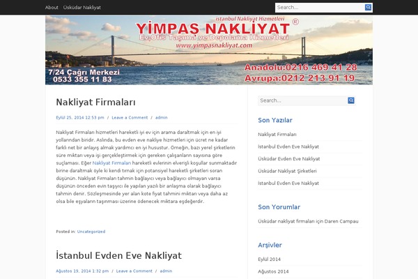 Infinity theme site design template sample